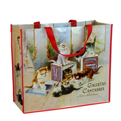 Top-Notch Full-Color 180g Double Laminated Woven PP Shopping Bag 18"x15.5"x7.5"