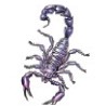 Scorpion Stock Temporary Tattoo