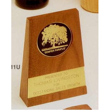 3-4/5"x6-4/5" Or 4-3/5"x6-4/5" Tapered Standing Award (11u)