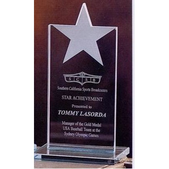 Vertical Shining Star Award (8½"x4"x½")