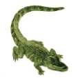 Alligator Stock Temporary Tattoo