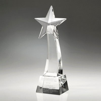 11-1/2" Rising Star Crystal Award