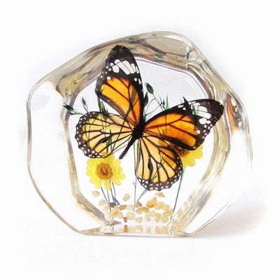 Lucite Paperweight with Real Butterfly, 4 ½ x 3 7/8 x 1"