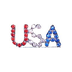 USA Rhinestone Pin