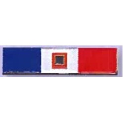 Custom Blue/White/Red Award Bar