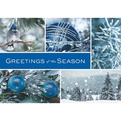 Icy Blue Wonder Holiday Cards