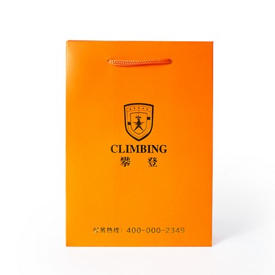 210g C1S paper bag with foil imprint on all sides (8.25*10.5*4")