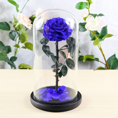 Beauty and The Beast Rose Preserved Real Forever Rose Eternal Rose in Glass Dome