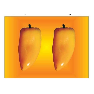 Yellow Chili Pepper Rectangle Badge w/ Bar Pin (2 1/2"x3 1/2")