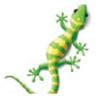 Gecko Stock Temporary Tattoo