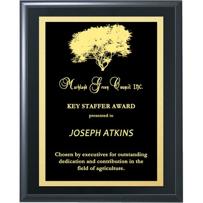 Solid Black Finish Lasered Plate Award Plaque 12"x15"