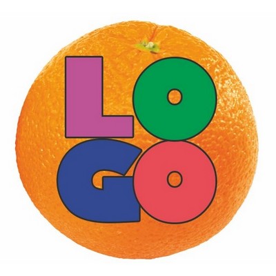 Orange Maxi-Magnet (10 Square Inch)