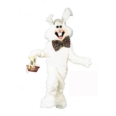 Benny Bunny Mascot Character Costume