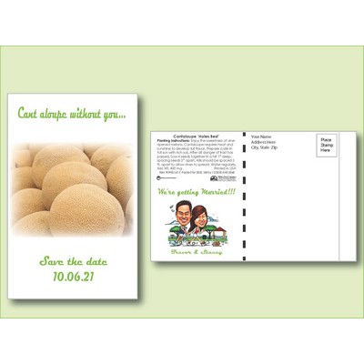 Cantaloupe 'Hale's Best' Seed Packet - Postcard Mailer Size (4" x 6.5")