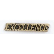 Excellence Cut Out Stock Casting Lapel Pin