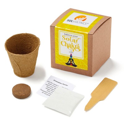 Solar Chakra Growable in Kraft Gift Box