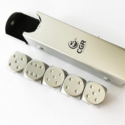 5 Piece Aluminium Dice Set