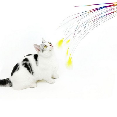 Cat Wand