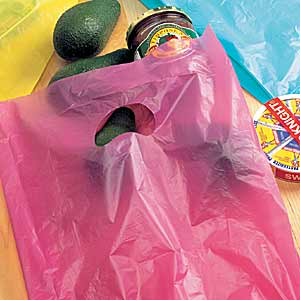 High Density Plastic Bag (8 1/2"x11")