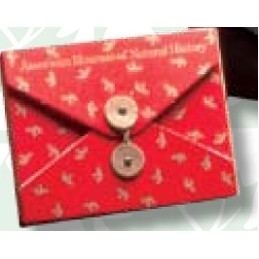 String Tie Envelope (6 3/4"x5 1/4"x1")