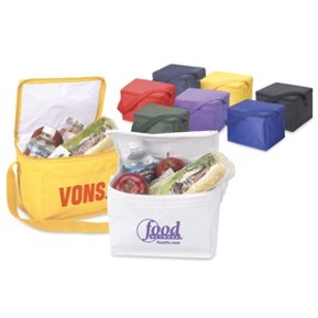 Deluxe Insulated 6-Pack Ice Chest Cooler