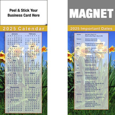 Peel & Stick Full Color Calendar Magnet (3 1/2"x8 1/2")