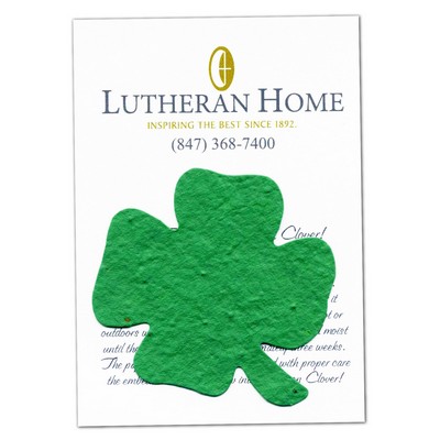 Large Value Shamrock Seed Paper - Wildflowers