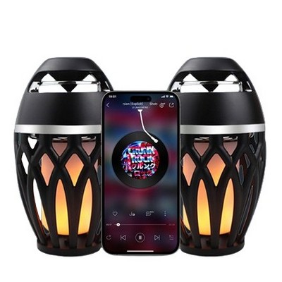 2 PCS Outdoor Wireless Speakers