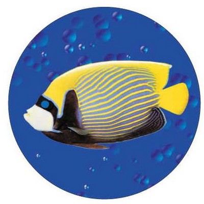 Tropical Fish Round Metal Photo Magnet (2 1/2")