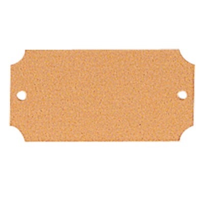 Satin Brass Plate w/Notched Corners & 2 Holes (2½" x 1¼")