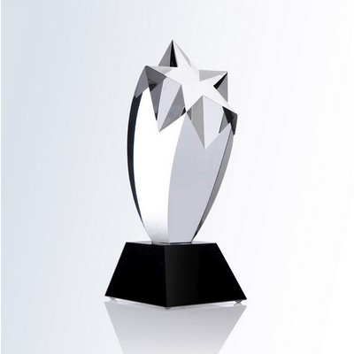 Rising Star Award on Slant Black Base, 9"H