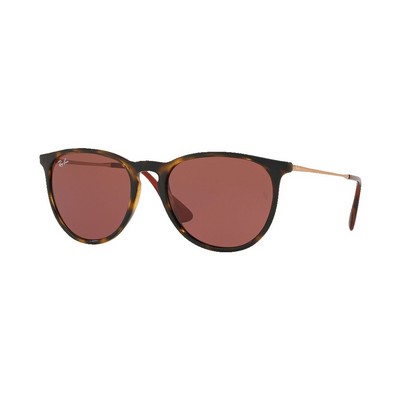 Ray-Ban Erika Color Mix Sunglasses