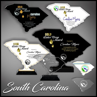 10" South Carolina Black Budget Acrylic Award