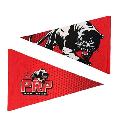 Medium Pennant Flag (12"x30")