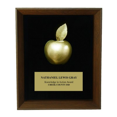 8"x10" Apple Shadow Frame Award