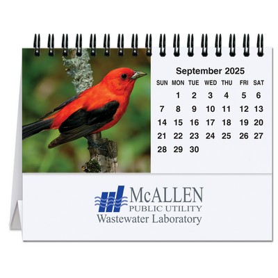 Bird Watching Tent Desk Calendar (5 13/16"x4½")