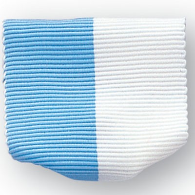 RL Series Pin Back Light Blue & White Ribbon