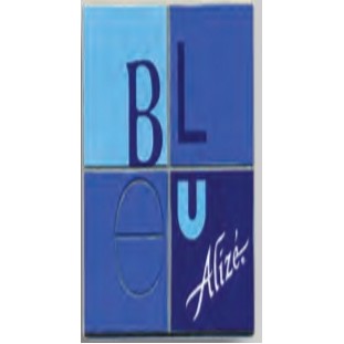 Custom Interior Nameplate w/Adhesive (Up to 4.9 Square Inches) (Other Colors)