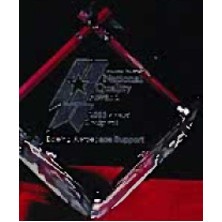 Custom 3D Image in Crystal Large Standing Cube Award (2 3/8"x1 1/2")