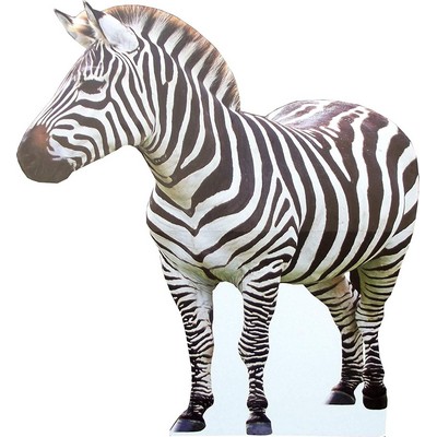 Zebra Animal Cardboard Cutout Stand Up| Standee Picture Poster Photo Print