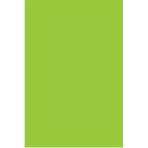 Fluorescent Green Rectangle Labels - 4" x 6"