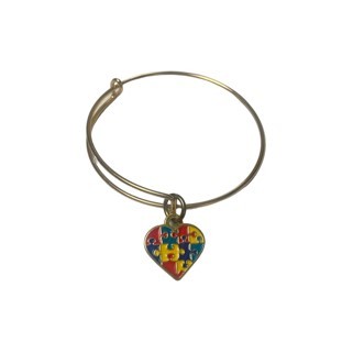 Autism Charm Bracelet