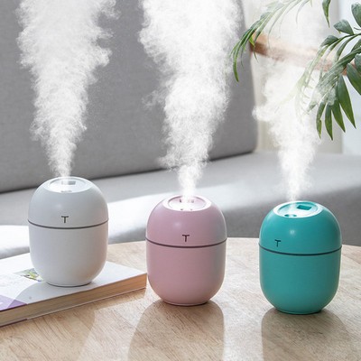 Egg Shaped USB Ultrasonic Air Diffuser