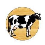 Cow Lapel Pin