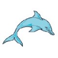 Dolphin Stock Temporary Tattoo