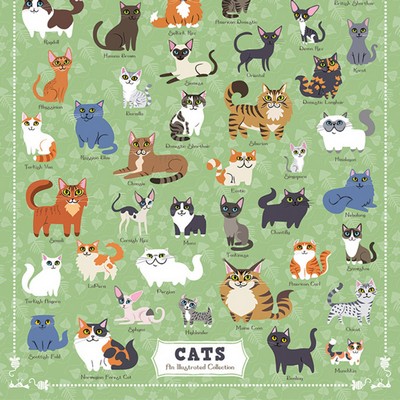 Illustrated Cats