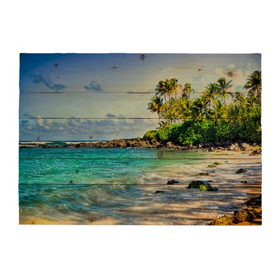 Turtle Beach by Kelly Wade Painting Print on decorative wood wall décor