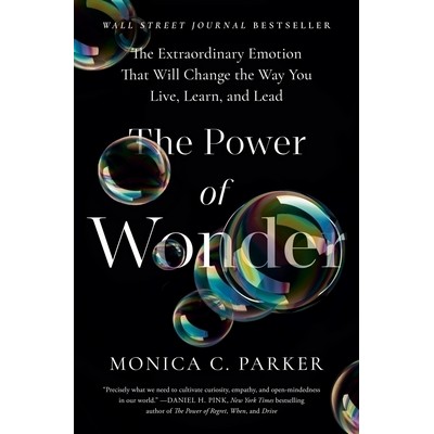 The Power of Wonder (The Extraordinary Emotion That Will Change the Way You