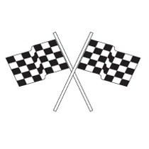 Checkered Small Hand Flag w/12" Plastic Staff