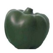 Food Series Green Bell Pepper Stress Reliever